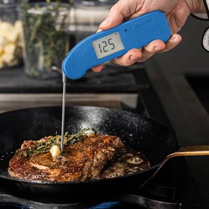 Thermapen One Thermometer